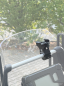 Preview: Action Kamera Halter