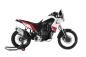 Preview: Schalldämpfer 4-Track-R SHORT für Yamaha Tenere 700 von HP Corse