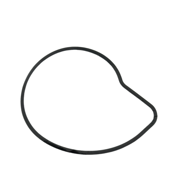 Wasserpumpen-Dichtring 1WS-12439-00